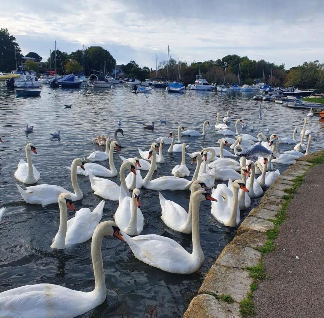 Apartmán Mudeford Swans Christchurch  Exteriér fotografie